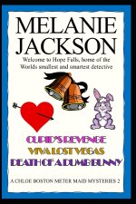 Chloe Boston Cozy Mysteries Book 2