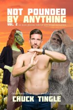 Not Pounded By Anything Vol. 2