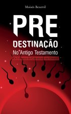 Predestinaç?o no Antigo Testamento - Os 5 Pontos do Calvinismo em G?nesis