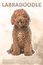 Labradoodle: Wissenswertes über Hunde für Kinder #40