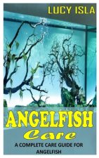 Angelfish Care