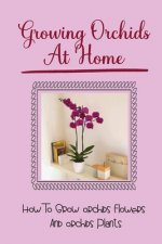 Growing Orchids At Home: How To Grow Orchids Flowers And Orchids Plants