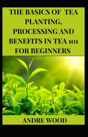 Basics Of Tea Planting, Processing And Benefit In Tea 101 For Beginners
