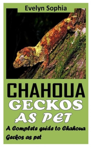 Chahoua Geckos as Pet