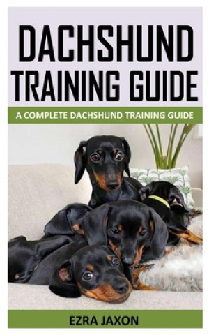 Dachshund Training Guide