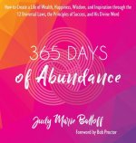 365 Days of Abundance