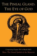The Pineal Gland: The Eye of God