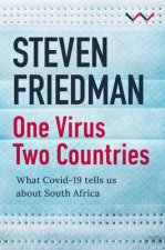 One Virus, Two Countries: What Covid-19 Tells Us about South Africa
