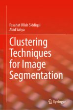 Clustering Techniques for Image Segmentation