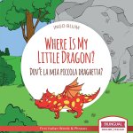 Where Is My Little Dragon? - Dov'e la mia piccola draghetta?