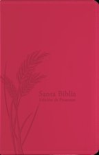 Santa Biblia de Promesas Reina-Valera 1960 / Tama?o Manual / Letra Grande / Piel Especial Con Índice / Fucsia // Spanish Promise Bible Rv60 / Handy Si