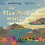 The Tide Pool Waits