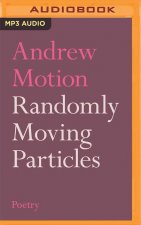 Randomly Moving Particles
