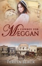 Cowboy for Meggan