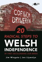 Welsh Independence: 20 Practical Steps