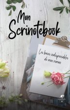 Mon Scrinotebook