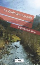 Vallee des Consoles