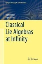 Classical Lie Algebras at Infinity