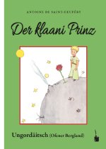 De Kleine Prinz - Der klaani Prinz