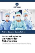 Laparoskopische Chirurgie der Nebennieren