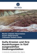 Gully-Erosion und ihre Auswirkungen in fünf ausgewählten Siedlungsstädten