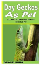 Day Geckos as Pet