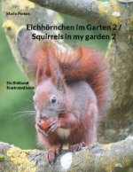 Eichhoernchen im Garten 2 / Squirrels in my garden 2