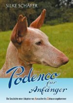 Podenco fur Anfanger
