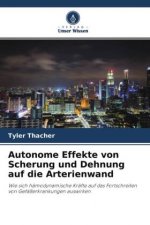 Autonome Effekte von Scherung und Dehnung auf die Arterienwand