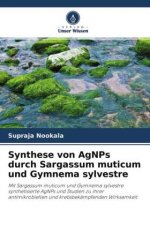 Synthese von AgNPs durch Sargassum muticum und Gymnema sylvestre