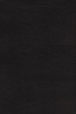 NRSVue, Holy Bible, Leathersoft, Black, Comfort Print