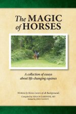 Magic of Horses