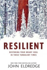 Resilient: Restoring Your Weary Soul in These Turbulent Times