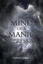 The Mind of a Manic Depressive