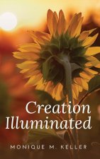 Creation Illuminated
