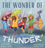Wonder Of Thunder