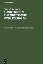 Algebraische Analysis