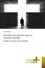 Revision de aportes para el Camino Sinodal