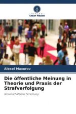 Die öffentliche Meinung in Theorie und Praxis der Strafverfolgung