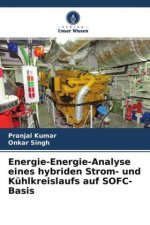 Energie-Energie-Analyse eines hybriden Strom- und Kühlkreislaufs auf SOFC-Basis