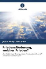 Friedensförderung, welcher Frieden?