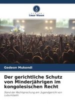 Der gerichtliche Schutz von Minderjährigen im kongolesischen Recht