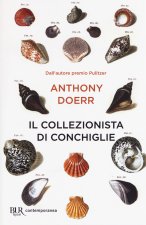 collezionista di conchiglie