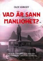 Vad ar sann manlighet?