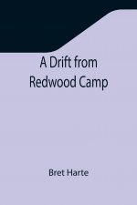 Drift from Redwood Camp
