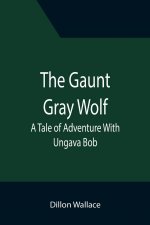 Gaunt Gray Wolf
