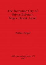Byzantine city of Shivta (Esbeita) Negev Desert Israel