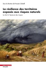 La résilience des territoires exposés aux risques naturels