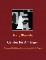 Geister fur Anfanger