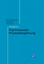 Handbuch Psychosoziale Prozessbegleitung